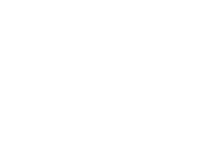 Little Rookies