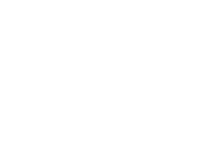 Soccer Stars